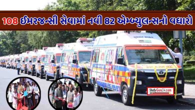 108 Ambulance:
