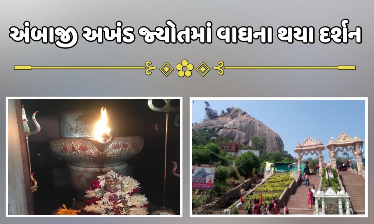 અંબાજી ગબ્બરે માતાજીની અખંડ જ્યોતમાં વાઘની મુખાકૃતિના દર્શન થયા