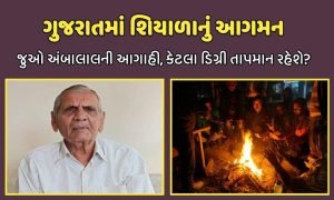 ગુજરાતમાં શિયાળાનું આગમન: