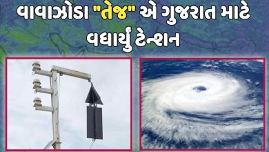Cyclone Tej Live Updates: