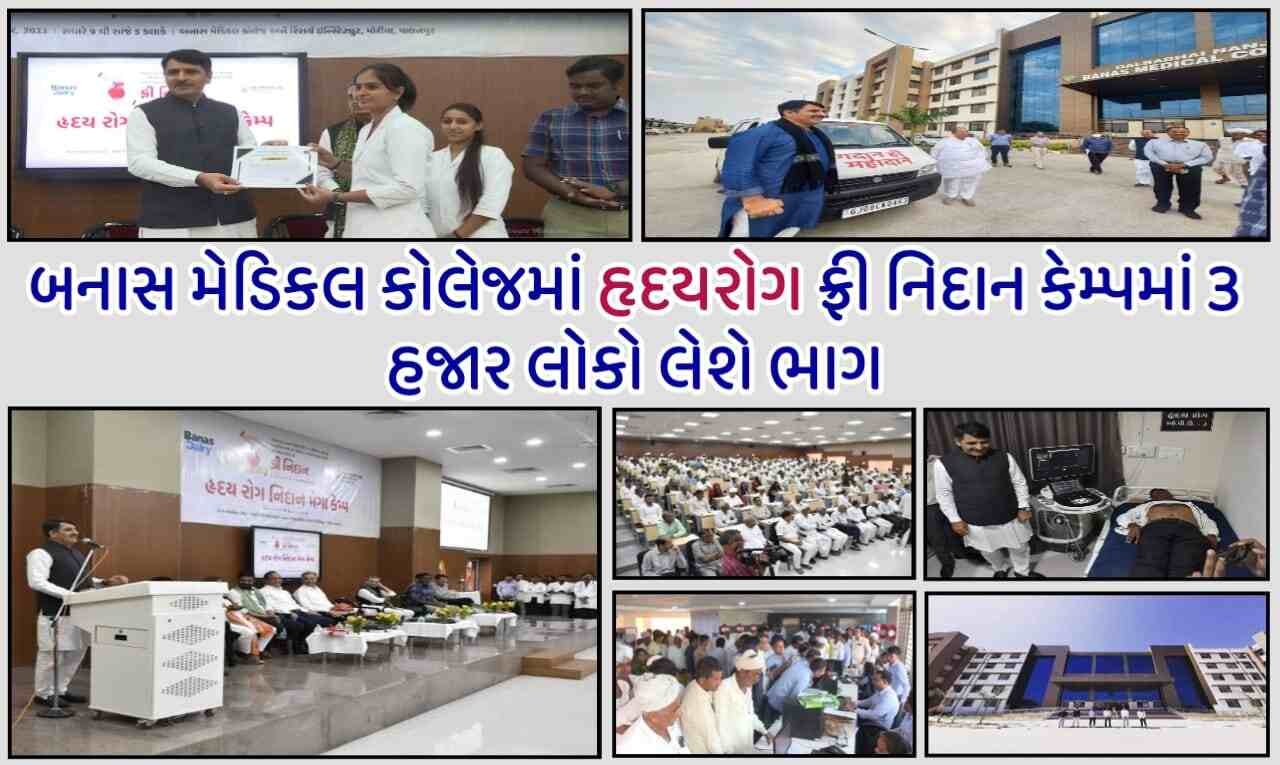 Free Nidan Camp