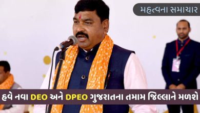 હવે નવા DEO અને DPEO ગુજરાતના તમામ જિલ્લાને મળશે,