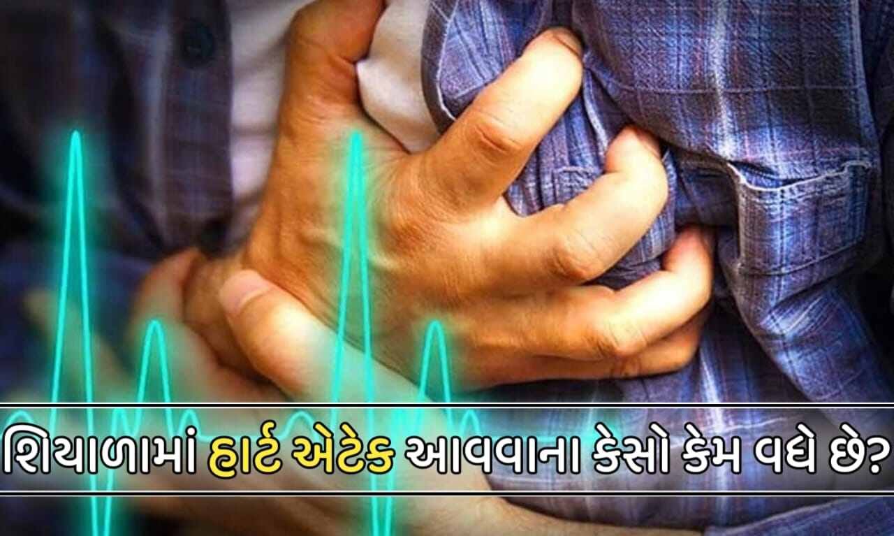 શિયાળાની ઋતુમાં હાર્ટ એટેક આવવાના કેસો કેમ વધી જાય છે?