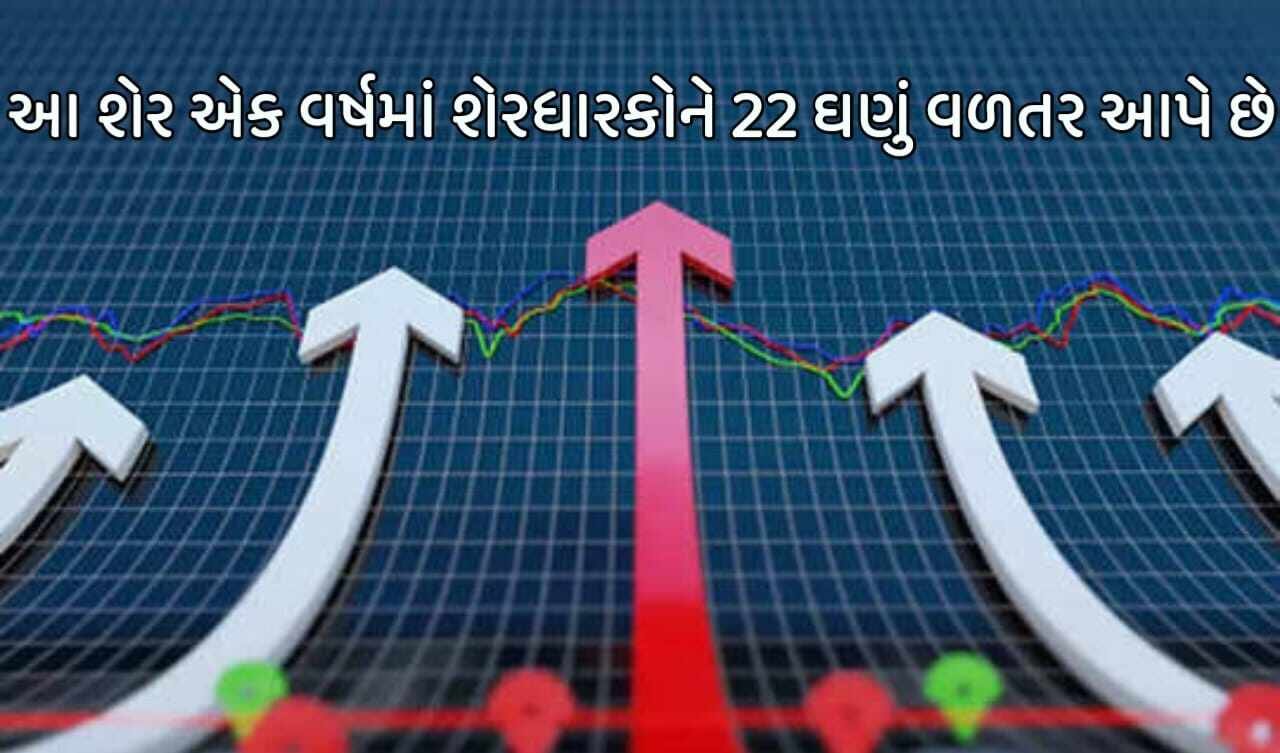 Share Market Multibagger: