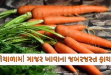 Carrot Benefits